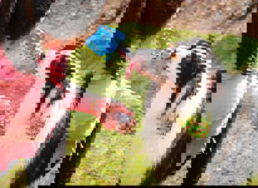 Vapur 700ml EZ Lick Foldable Dog Water Bottle