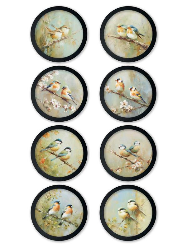Exceptional Art Garden Birds - 30cm Black Round Box Frame