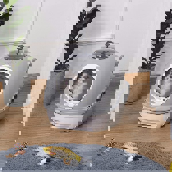 D31-012GY