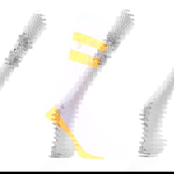 t4option1_1