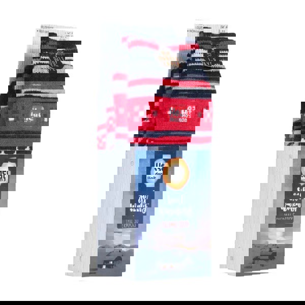 t4option1_2