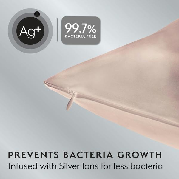 Silver Cloud Beauty Silver Cloud Caramel Satin Pillowcase Twinpack