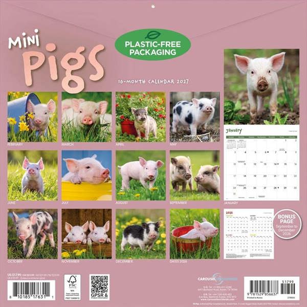 Mini Pigs Calendar 2027, Wall Calendars, Month To View, Animals, Gift