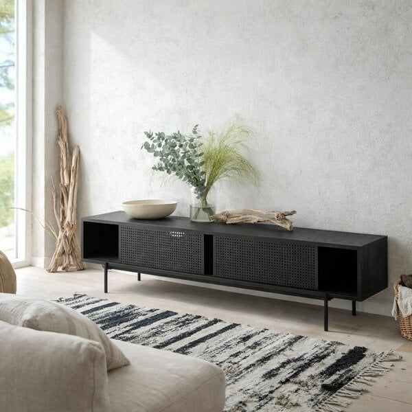 Wyld Haus Cambridge Industrial Black Mesh TV Unit in Black