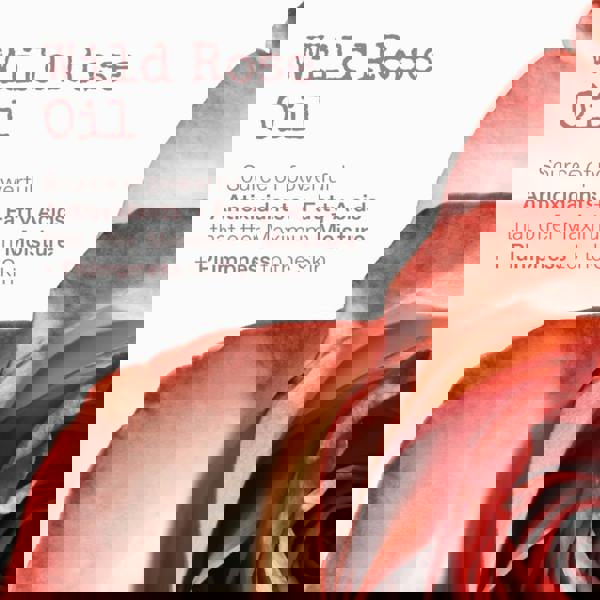 Korres Apothecary Wild Rose Set