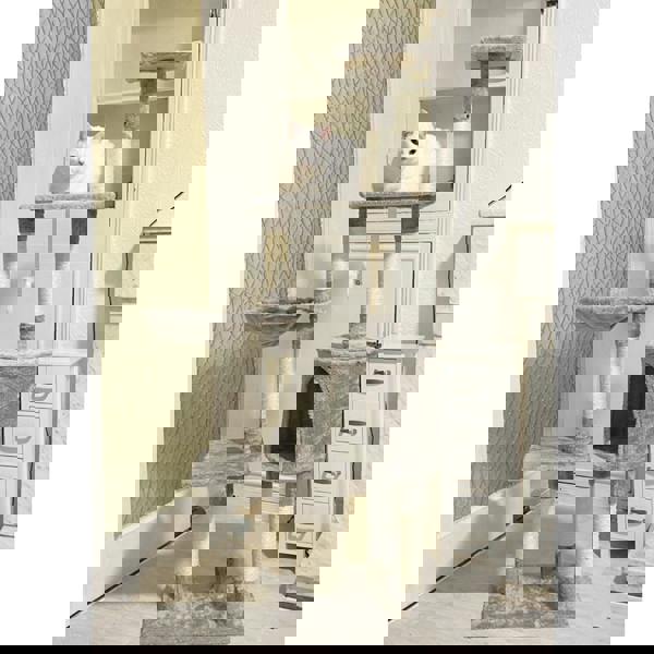 Gr8 Home Cat Tree Scratching Climbing Post ladder Sleeping Jumping Pet Kitten Play Toy