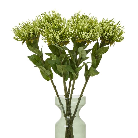Wyld Haus Set of 3 Artificial Flowers Green Protea Lorea Stems