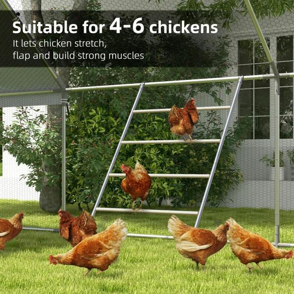 Chicken roosting ladder in an outdoor coop setup with natural wood rungs and metal frame.