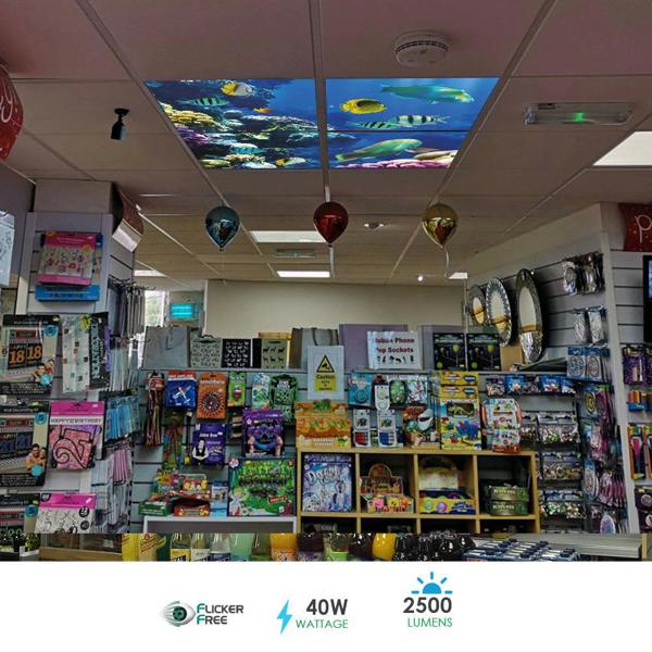 ENER-J Set of 4 40W 2D Ocean Marine Ceiling Light Set of 4 SKY Panel 60x60cms LED Light Cool Ultra Thin Panel, 6500K