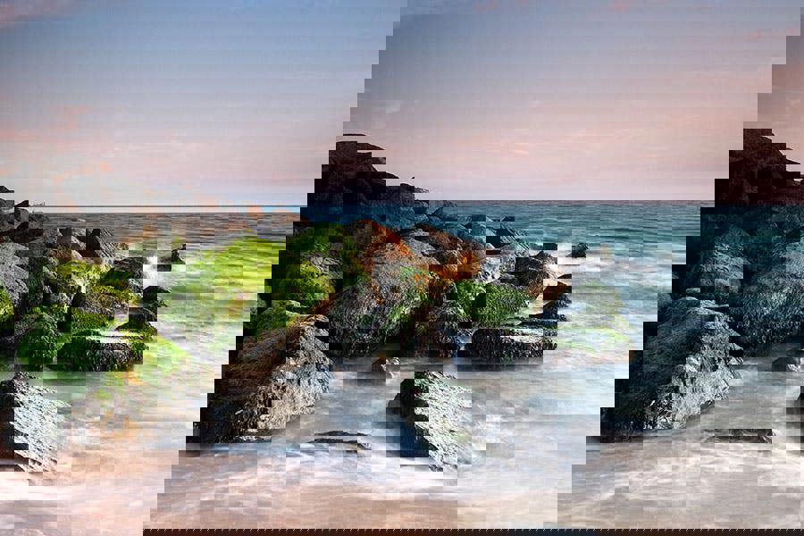 Fernlight Gallery Moss on the Rocks