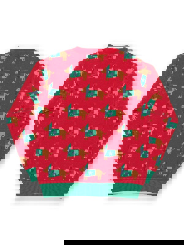 Kite Boys Organic Daxie Dog Jumper