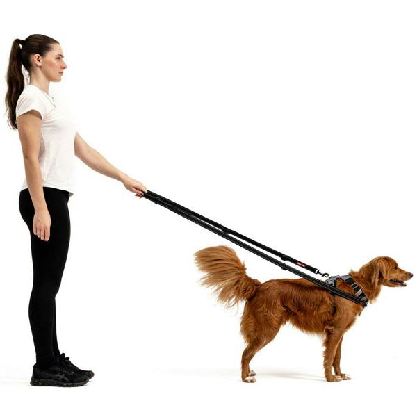 EzyDog Vario 6 Multifunctional Dog Lead in Black