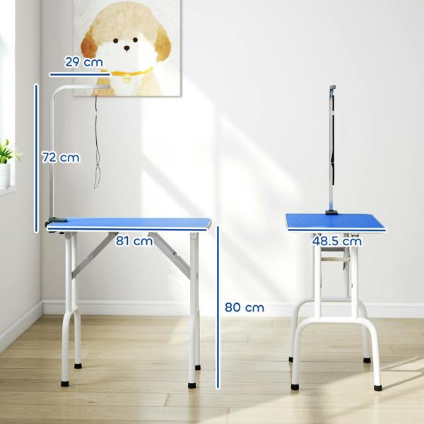 Pet Grooming Table