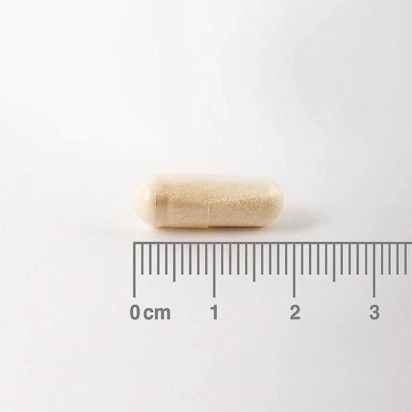 Lamberts Digestizyme 100 capsule