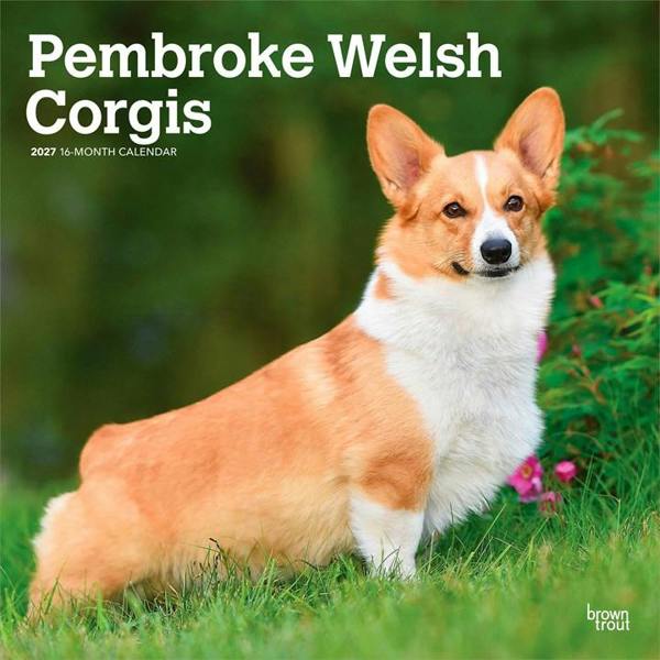 Pembroke Welsh Corgis Calendar 2027, Wall Calendars, Month To View, Dogs, Gift