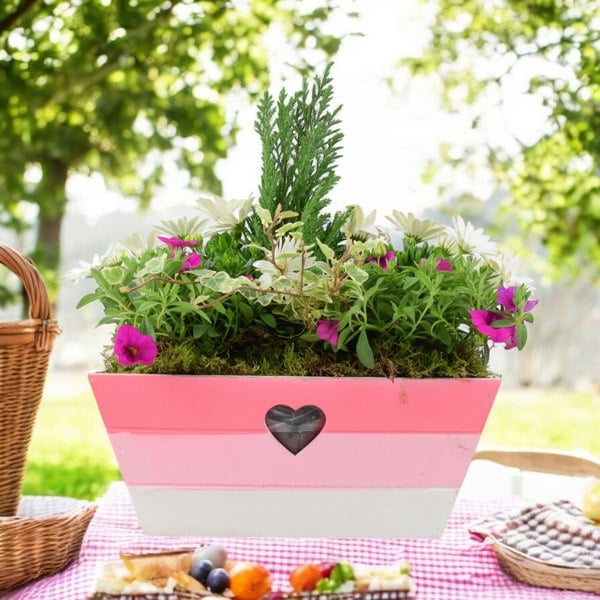 Seasonally Planted Pink & White Wooden Trough Plants By Post