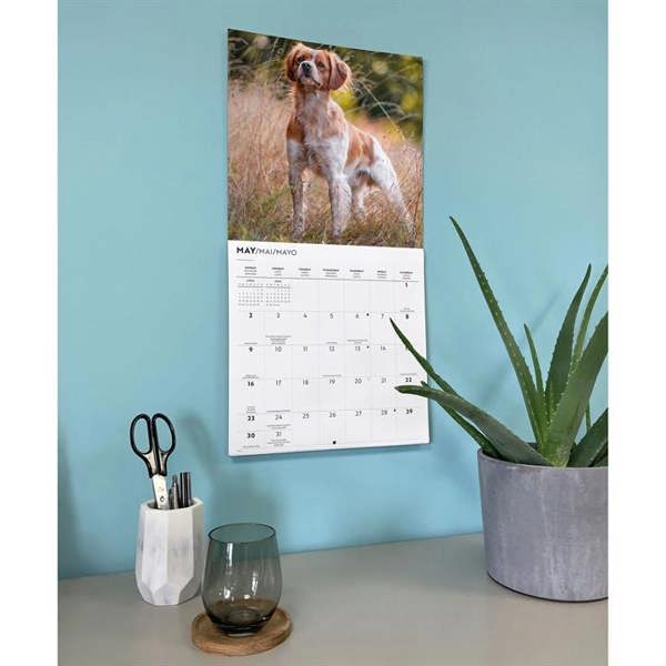 Brittanys Calendar 2027, Wall Calendars, Month To View, Dogs, Gift