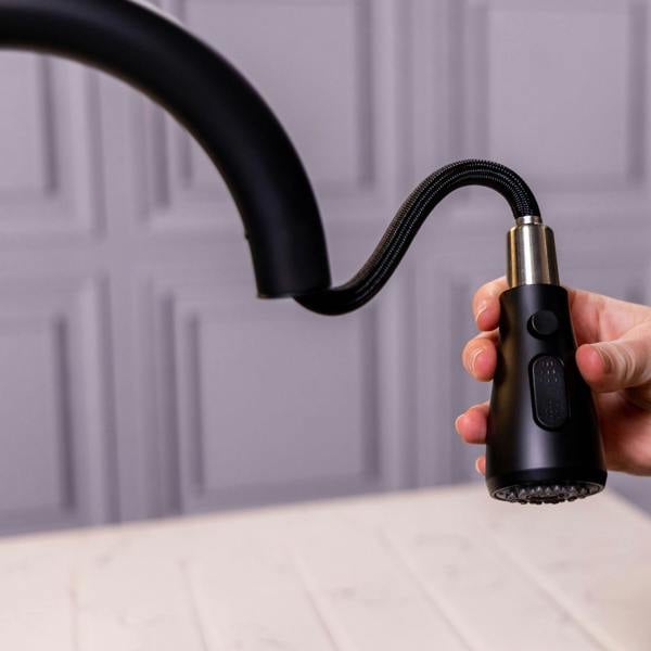 Flode Runda | Kitchen Sink Mixer with Pull out Spray | Matt Black | Oval Head