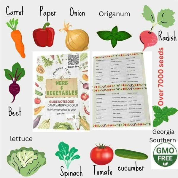 Vegetable seed mix home garden – assorted herb and vegetable seeds for fresh, organic growing