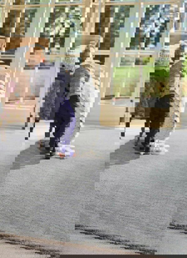 Country Sea Mist Solid Wool Rug |Luxurious Comfort |The Rugs