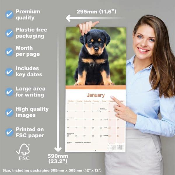 Rottweiler Calendar 2027, Wall Calendars, Month To View, Dogs, Gift
