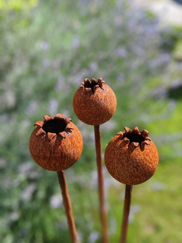 Savage Works Rusty Metal Poppy Seedhead - Metal Garden Flower Sculpture - Garden Decor