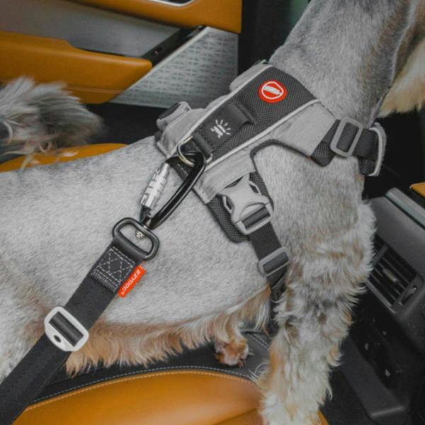 EzyDog ISOFIX Latch Adjustable Dog Seatbelt