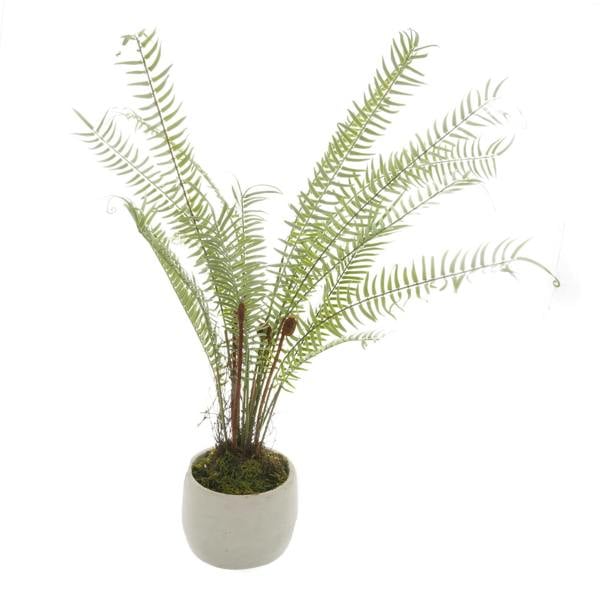 Hill Interiors Boston Fern Artificial Plant - Green/White - 
