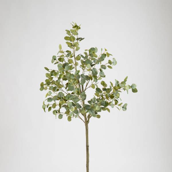 Scottish Everlastings 160cm Eucalyptus Tree