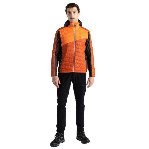 Dare 2B Mens Touring Padded Jacket - Rooibos Tea/Puffins Orange - 