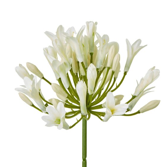 Wyld Haus Set of 3 Artificial Flowers Cream Agapanthus Sprays