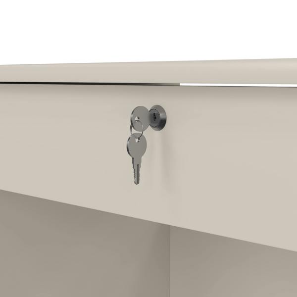 Furniture To Go Function Plus Desk in Cashmere