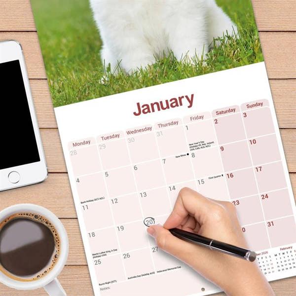 Samoyed Calendar 2027, Wall Calendars, Month To View, Dogs, Gift