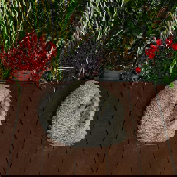 Peaceful Cast Stone Sleeping Badger Garden Statue Animal Garden Ornament 