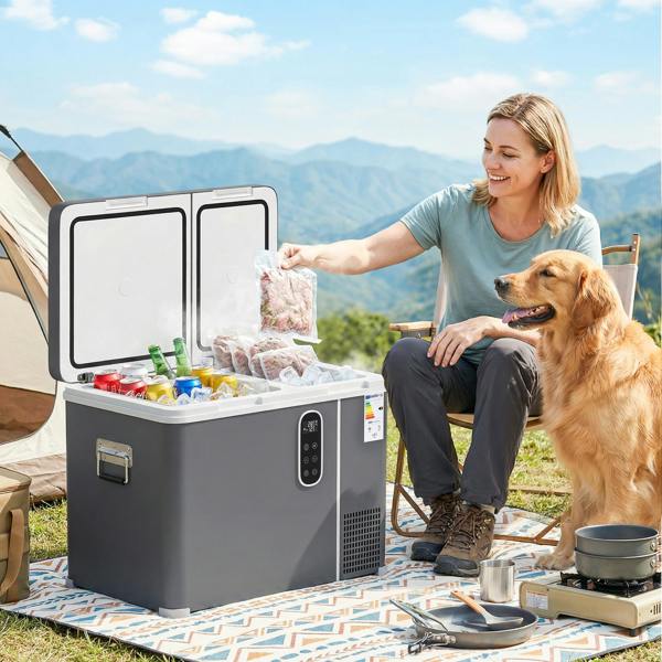 Car Fridge