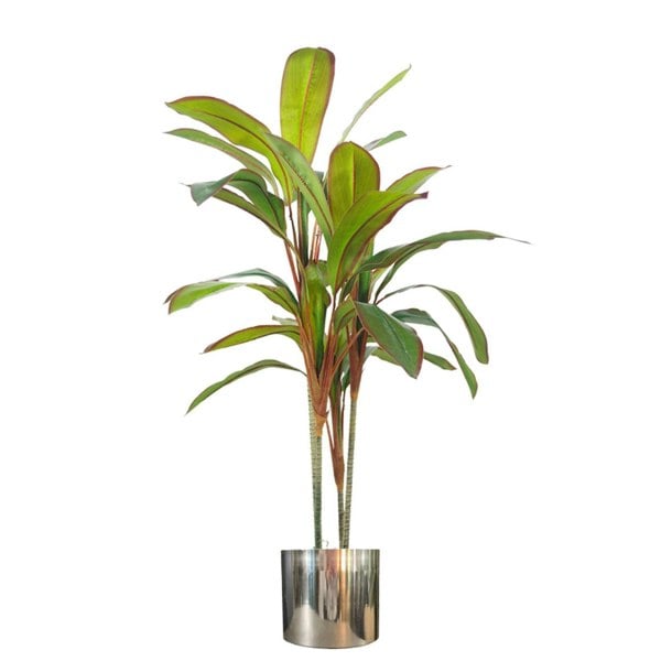 Leaf 100cm Artificial Potted Dracaena Tropical Plant with Silver Metal Plater