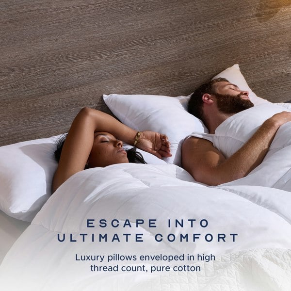Snuggledown Luxurious Cotton Medium Support Pillow