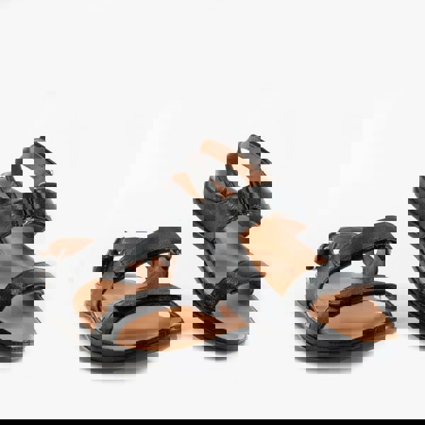 1616059901-73269800.jpg