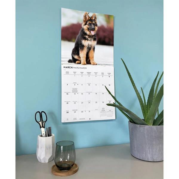 German Shepherd Puppies Calendar 2027, Wall Calendars, Month To View, Dogs, Gift