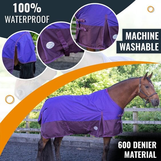 eQuitack 600D Outdoor Winter Lightweight Waterproof Horse Turnout Rug 0g No Fill Regular Neck Nylon Lined Double Buckle Purple/Plum