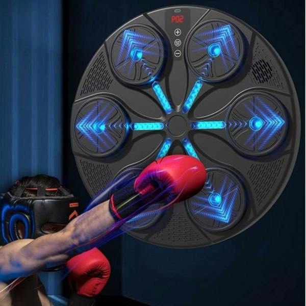 Leaper Bluetooth Music Punching Bag