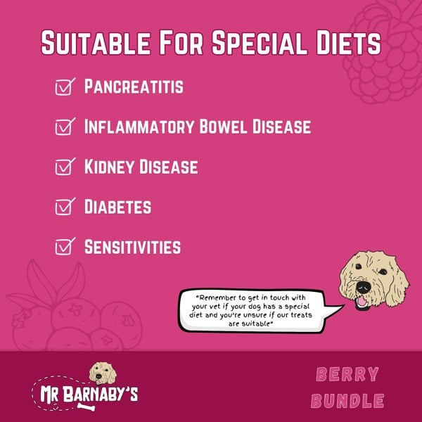 Mr Barnaby's Berry Treat Bundle