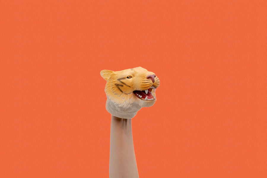 Wildthings Wild Thingz Tiger Hand Puppet