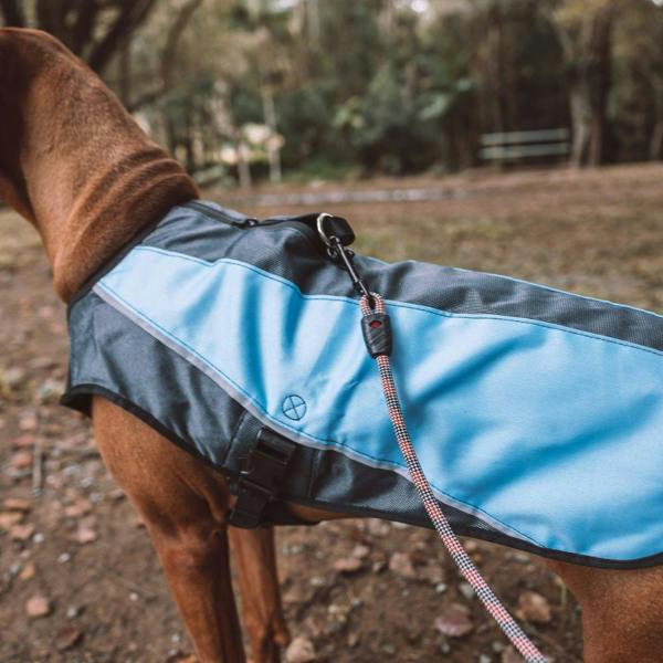 EzyDog Element Jacket in Blue