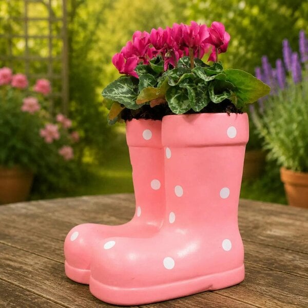 Pink Polka Dot Wellies Planter with Dianthus - Ceramic Garden Decor - Purple Cyclamen