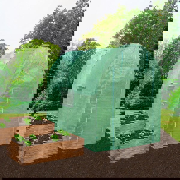 Monstershop Polytunnel 19mm 4m x 2m with Racking