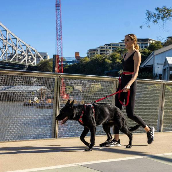EzyDog Road Runner Dog Lead in Red
