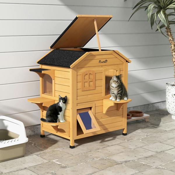 Cat House