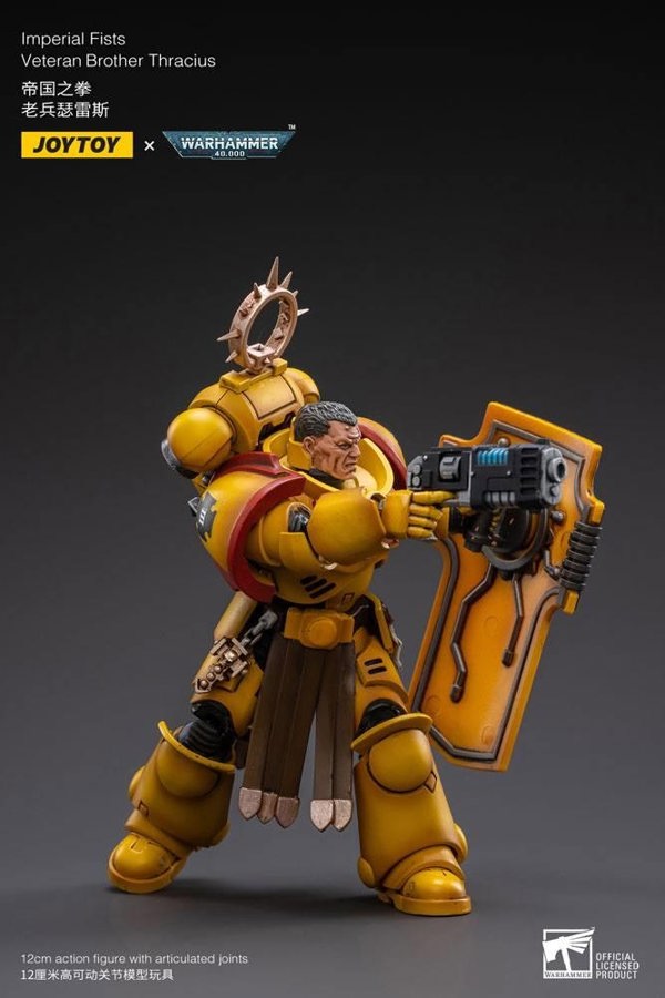 Joy Toys Warhammer 40K Imperial Fists Veteran Brother Thracius 1:18 Scale Joy Toy JT3013