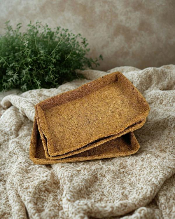 CoirProducts Coir Trays | Premium Biodegradable Coir Seedling & Propagation Trays